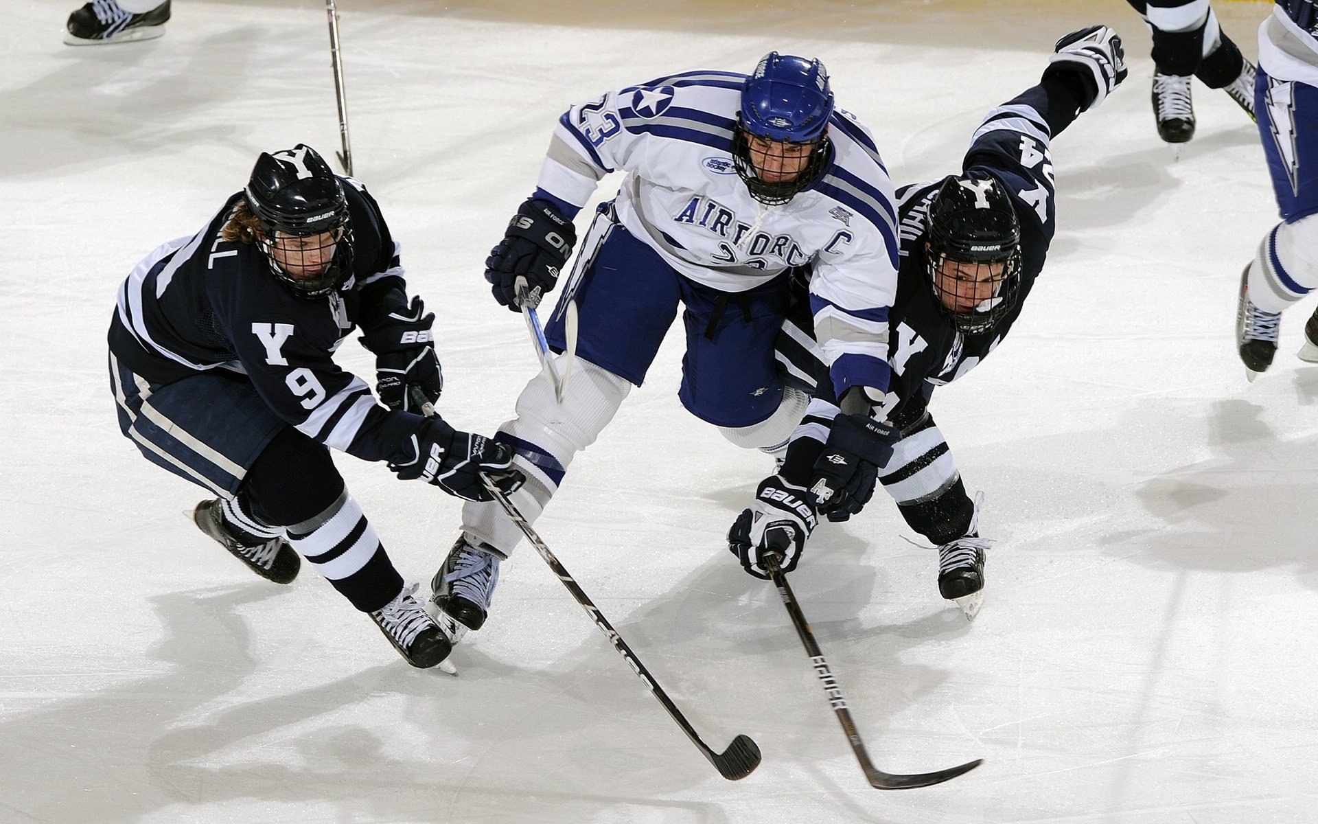 比利时马术协会推出马术运动员健康管理系统，关注运动员身心健康。